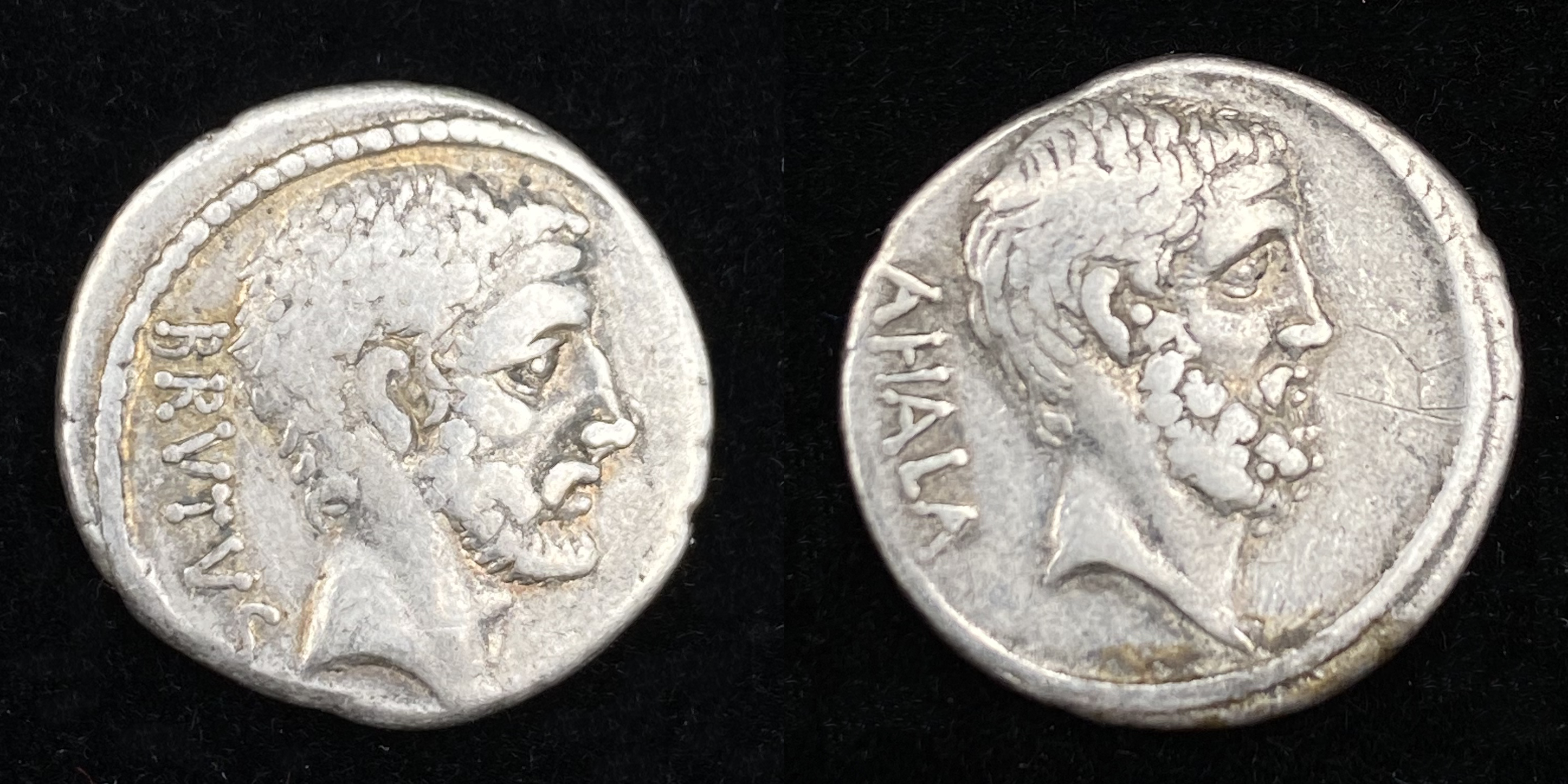 Denarius of M. Junius Brutus