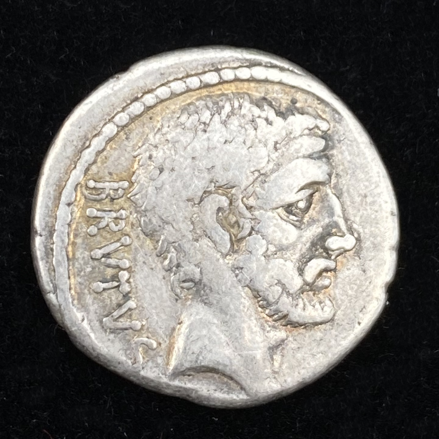 Denarius of M. Junius Brutus - Obverse