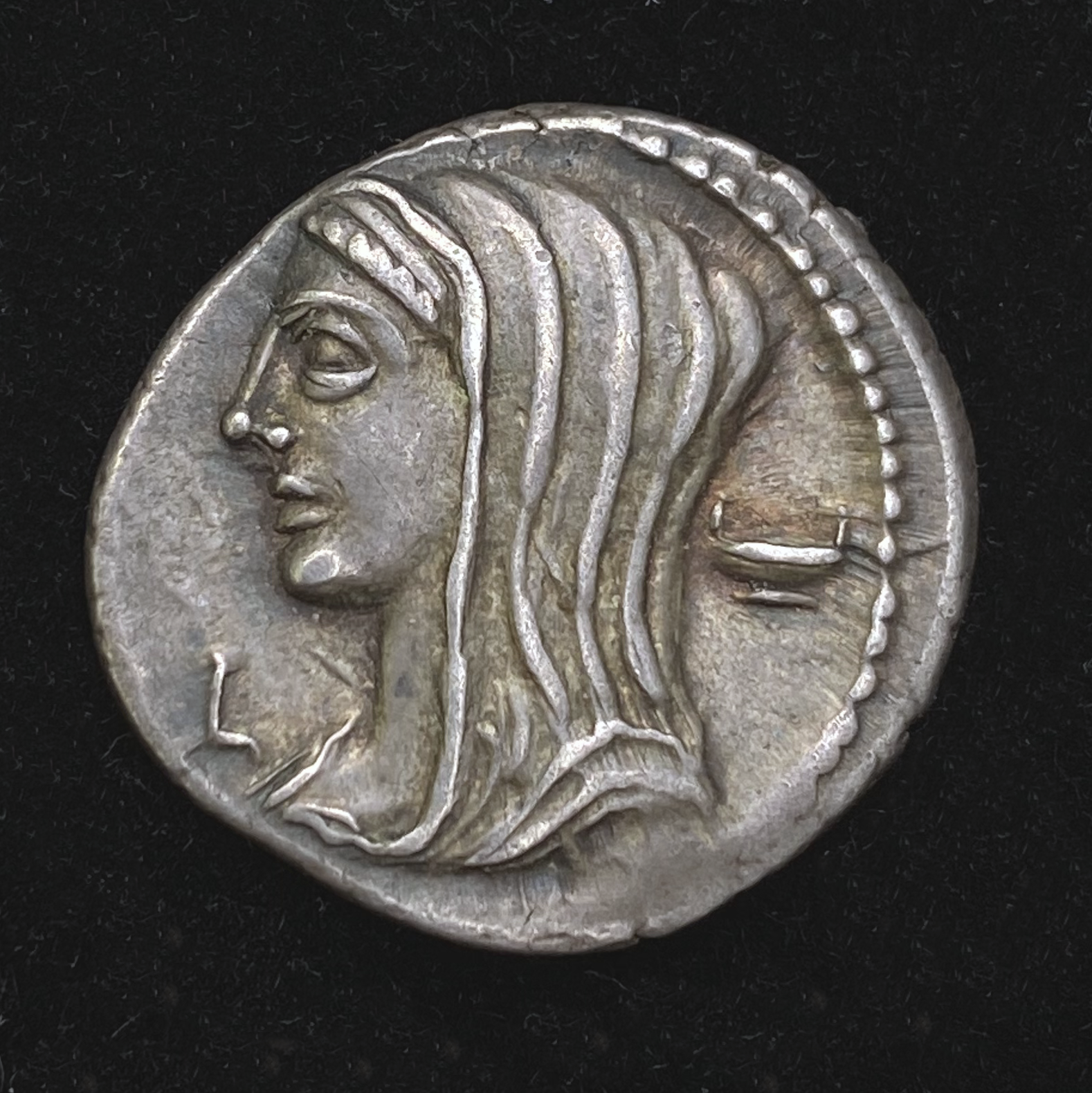 Denarius of L. Cassius Longinus - Obverse