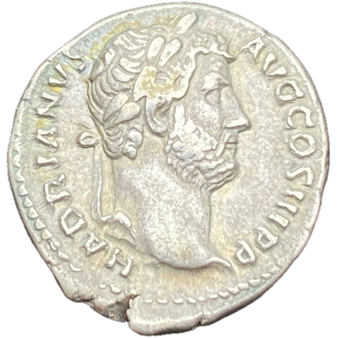 Denarius of Hadrian - Obverse