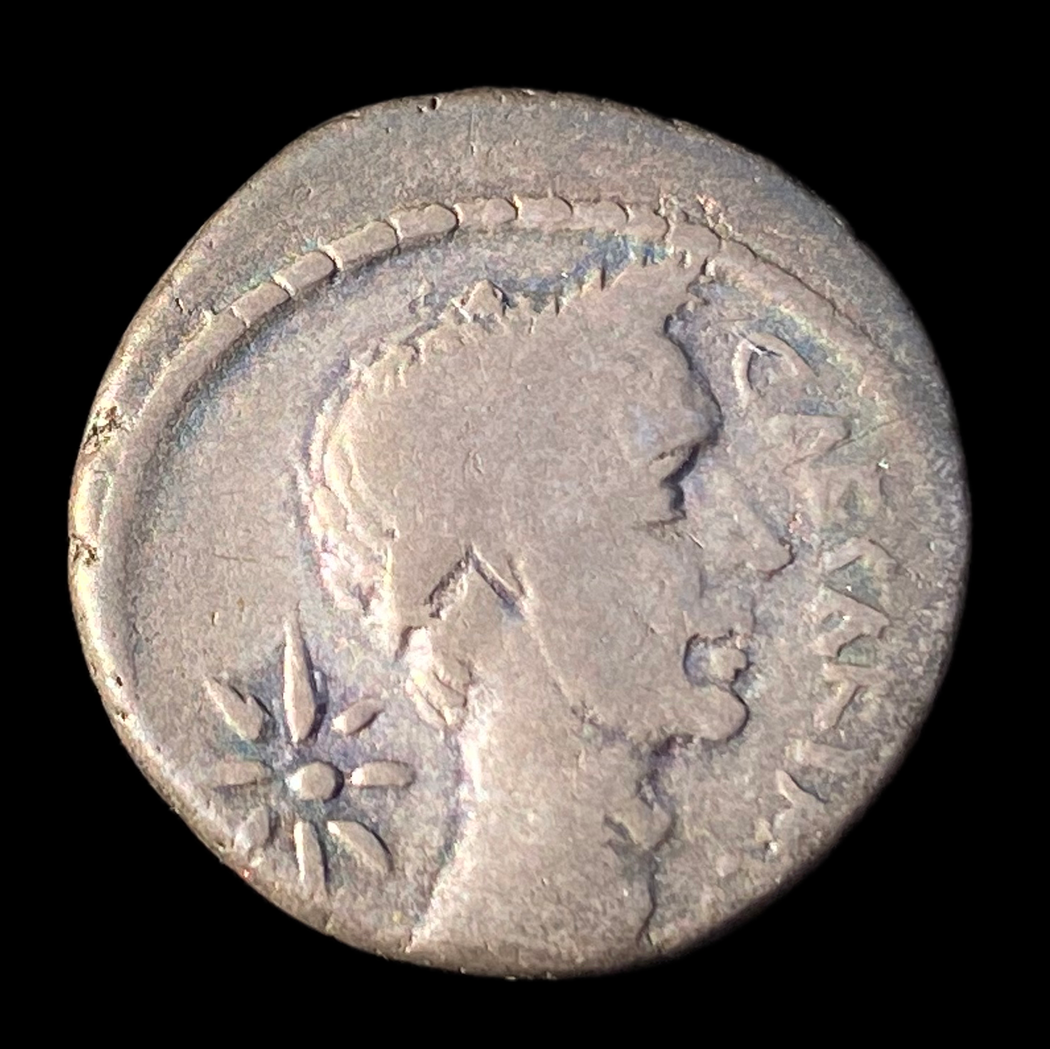 Denarius of Julius Caesar - Obverse