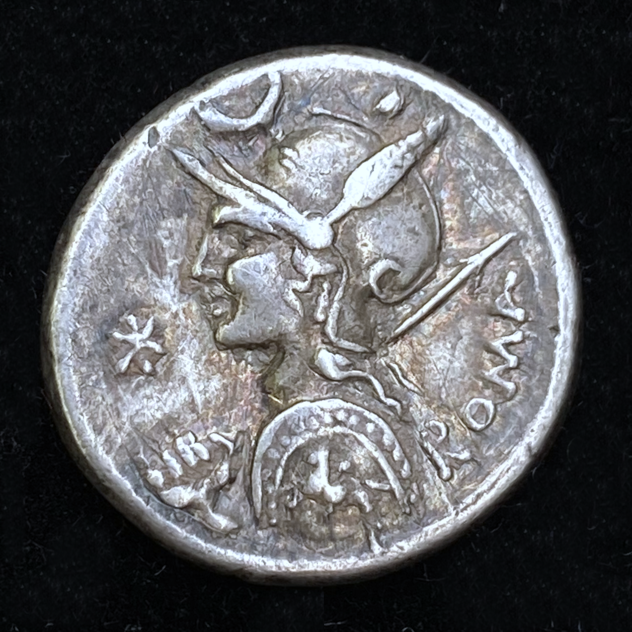 Denarius of P. Licinius Nerva - Obverse