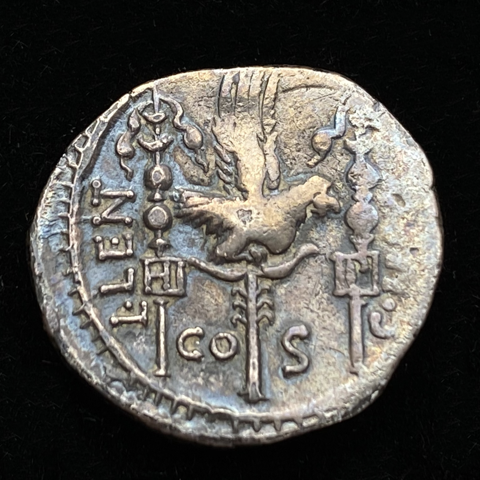 Denarius of Cn. Neria - Reverse