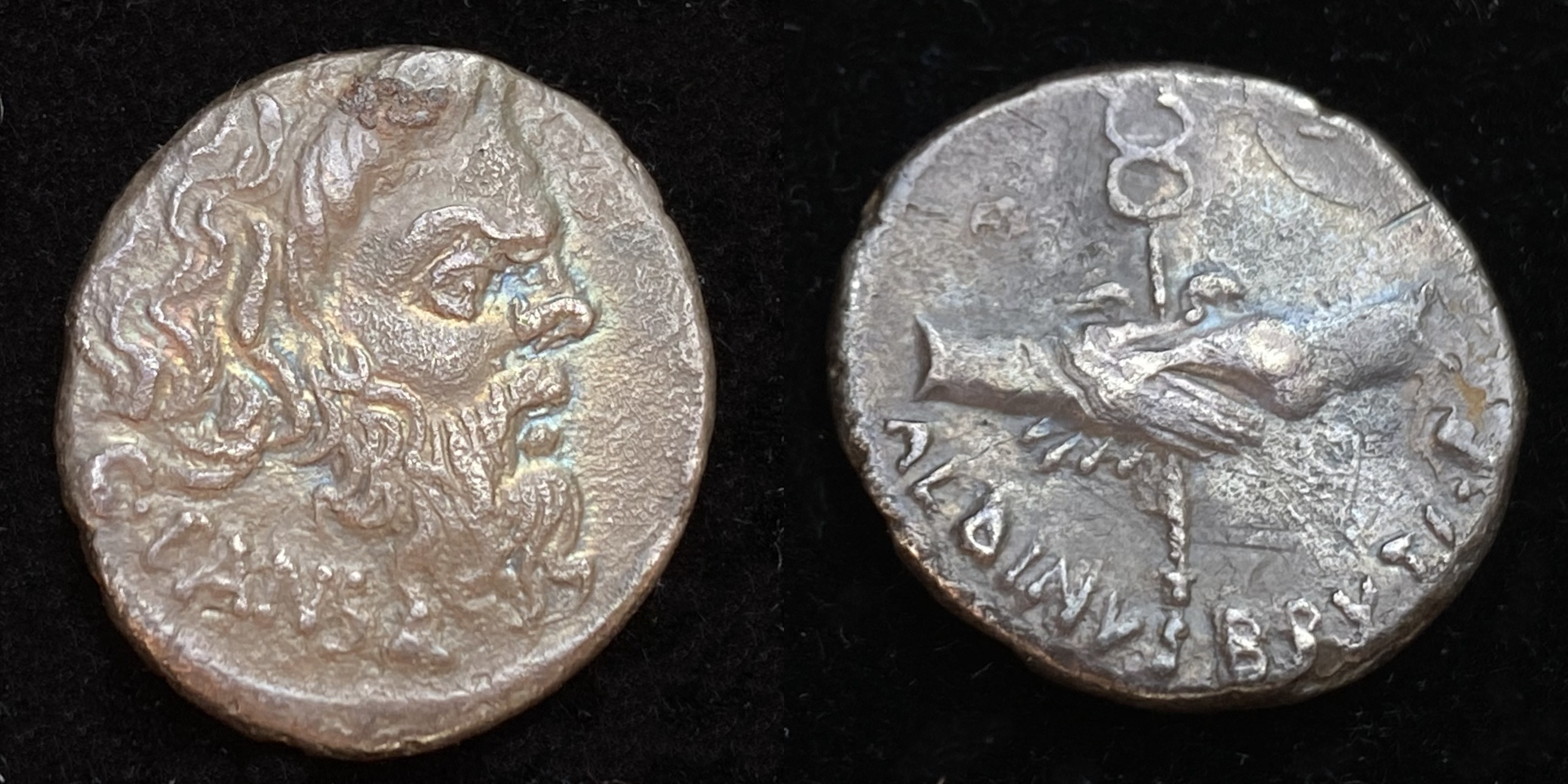 Denarius of Gaius Pansa and Decimus Brutus 