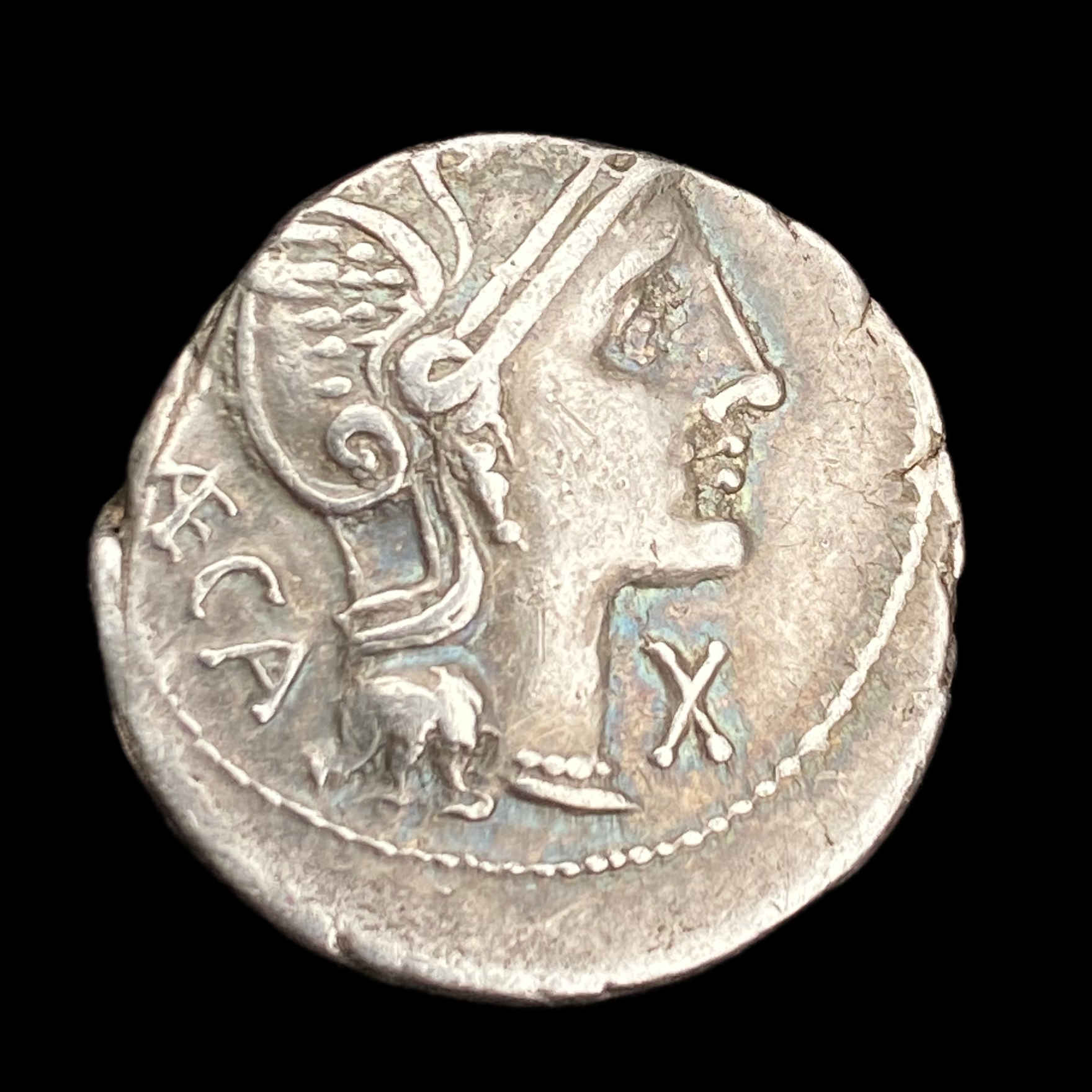 Denarius of P. Porcius Laeca - Obverse
