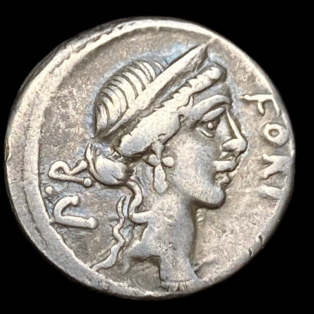 Denarius of Q. Sicinius - Obverse