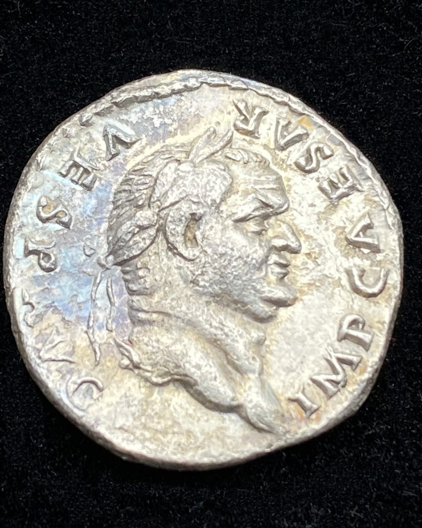 Denarius of Vespasian - Obverse